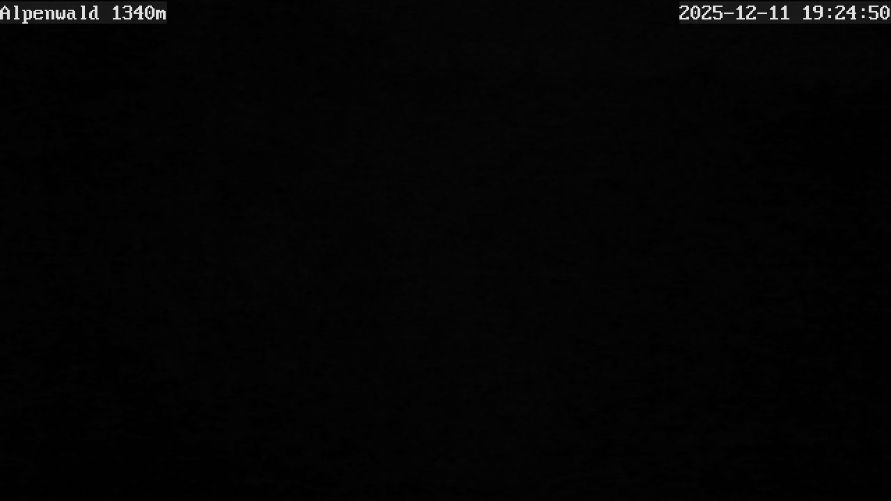 Bild: Gasthof Alpenwald